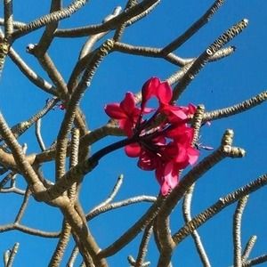 Meet your Posher, Juan